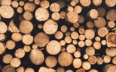 Chaudière biomasse : on vous dit tout !