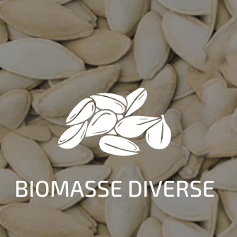 combustible-biomasse combustible-biomasse