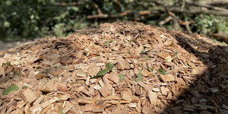 combustible-bois-dechiquete