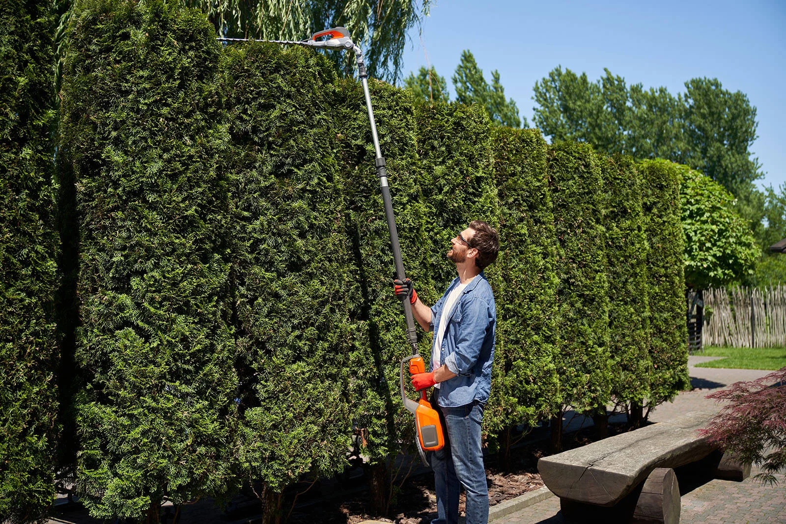 dechets-verts-elagage