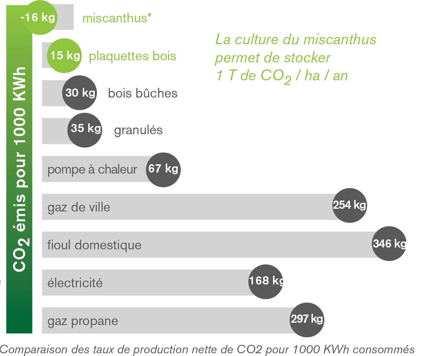 miscanthus-combustible-ecologique