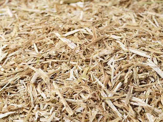 paille-colza