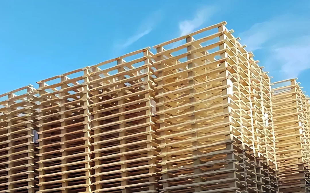 Que faire de mes palettes en fin de vie ?