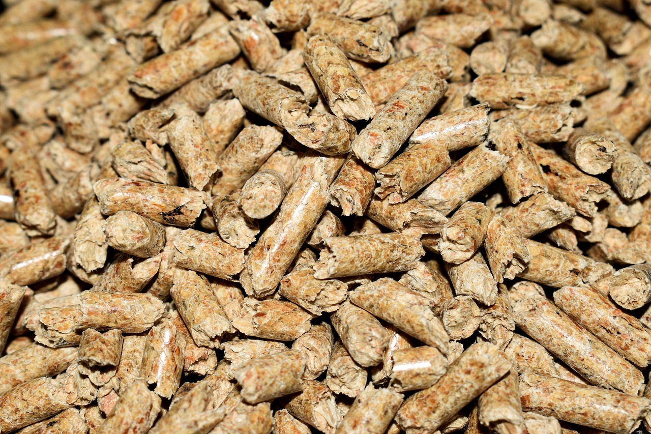 pellet chaudière
