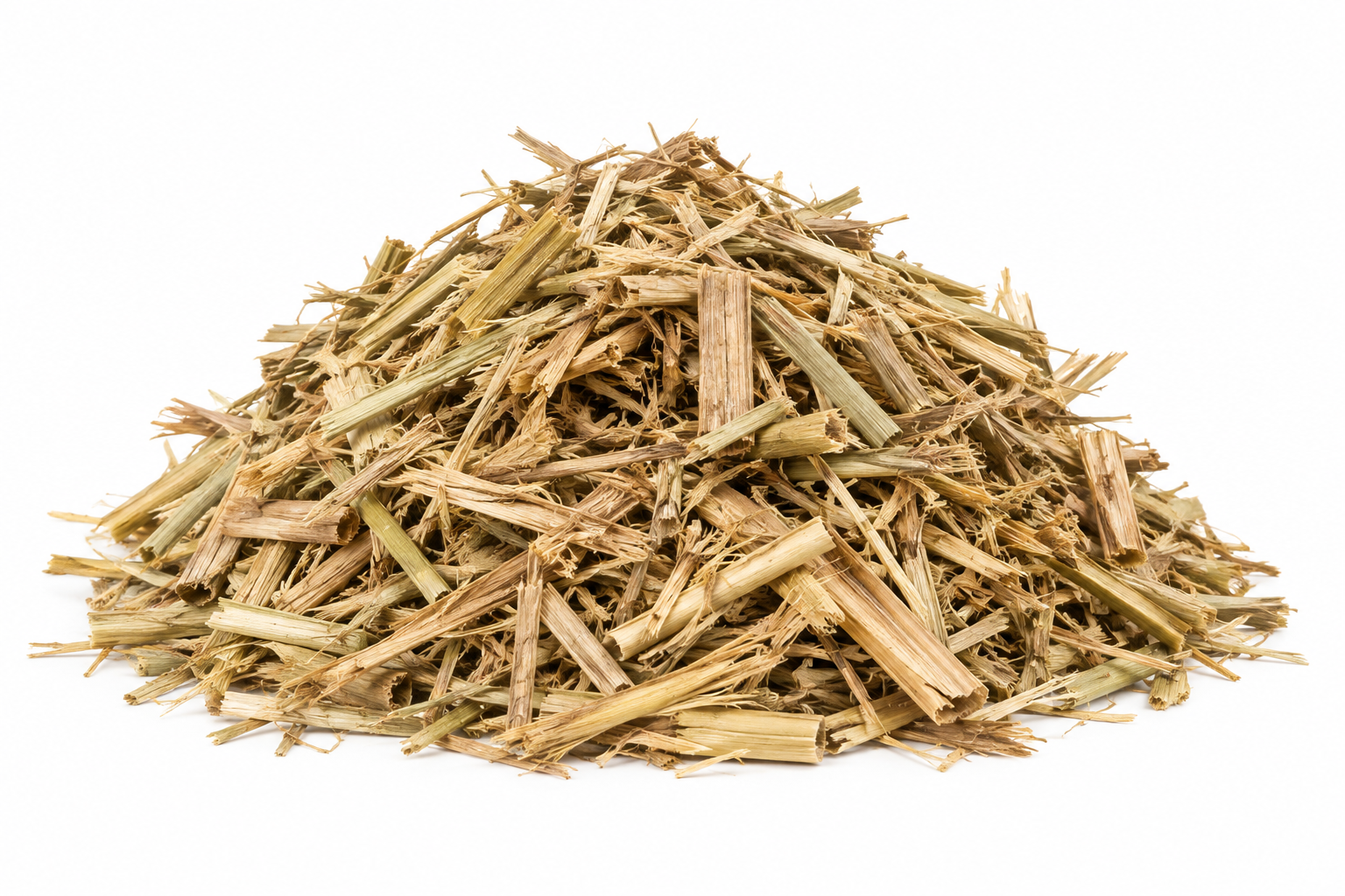 miscanthus 2